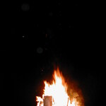 pic2.jpg